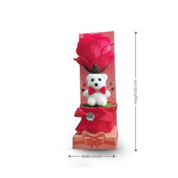 Lover's  Showpiece– Teddy & Rose for a Romantic Surprise