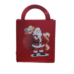 Christmas Treat Bag with Santa Picture