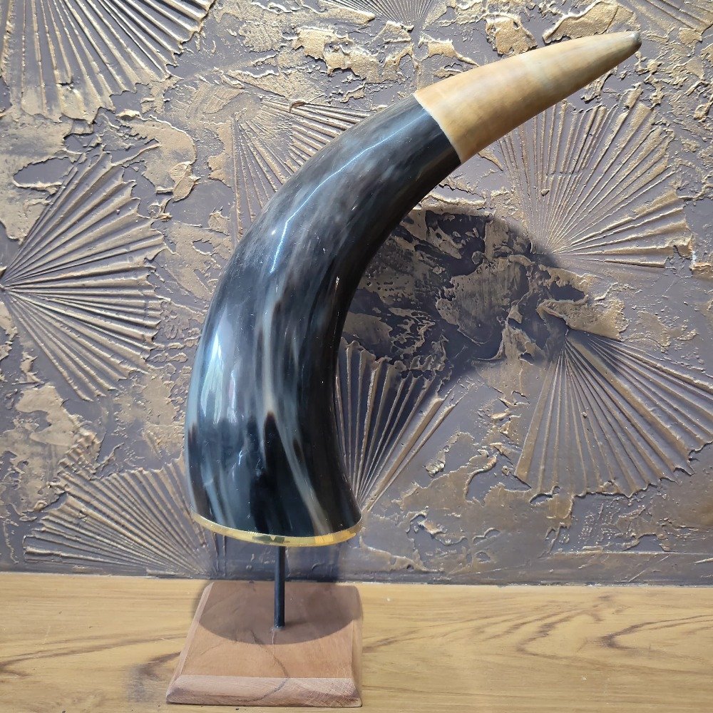 Natural 13-inch Buffalo Horn Decorative Showpiece for Home Décor thumbnail 2
